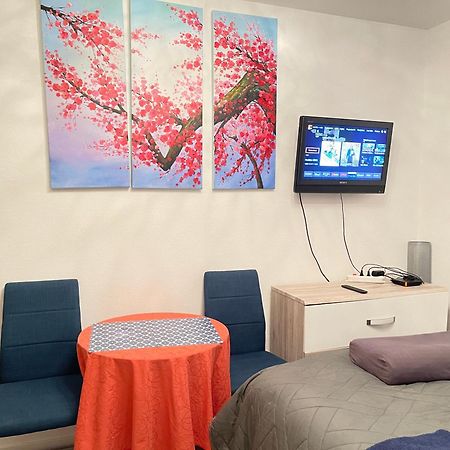 Top Studio Full Optional Saint Louis Vicino Stazione Saint Louis 68300 France Kültér fotó