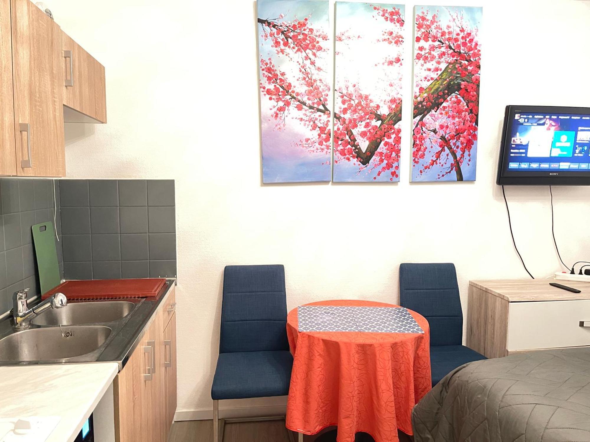 Top Studio Full Optional Saint Louis Vicino Stazione Saint Louis 68300 France Kültér fotó
