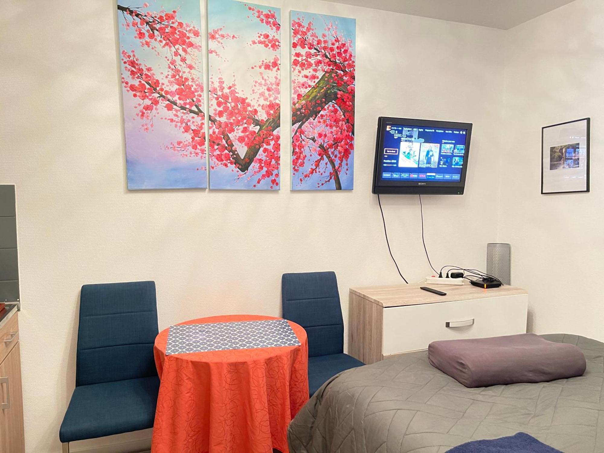 Top Studio Full Optional Saint Louis Vicino Stazione Saint Louis 68300 France Kültér fotó