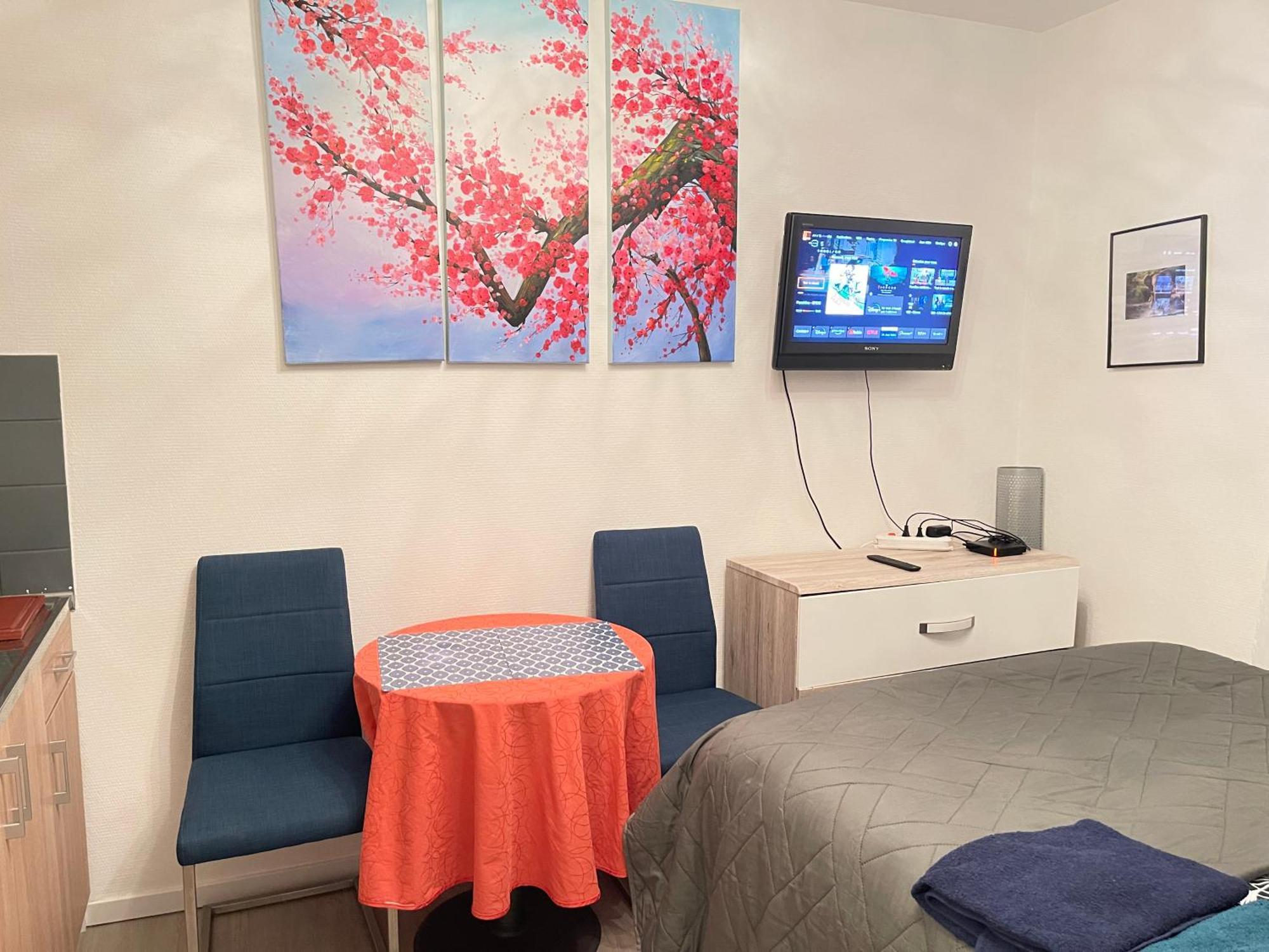 Top Studio Full Optional Saint Louis Vicino Stazione Saint Louis 68300 France Kültér fotó